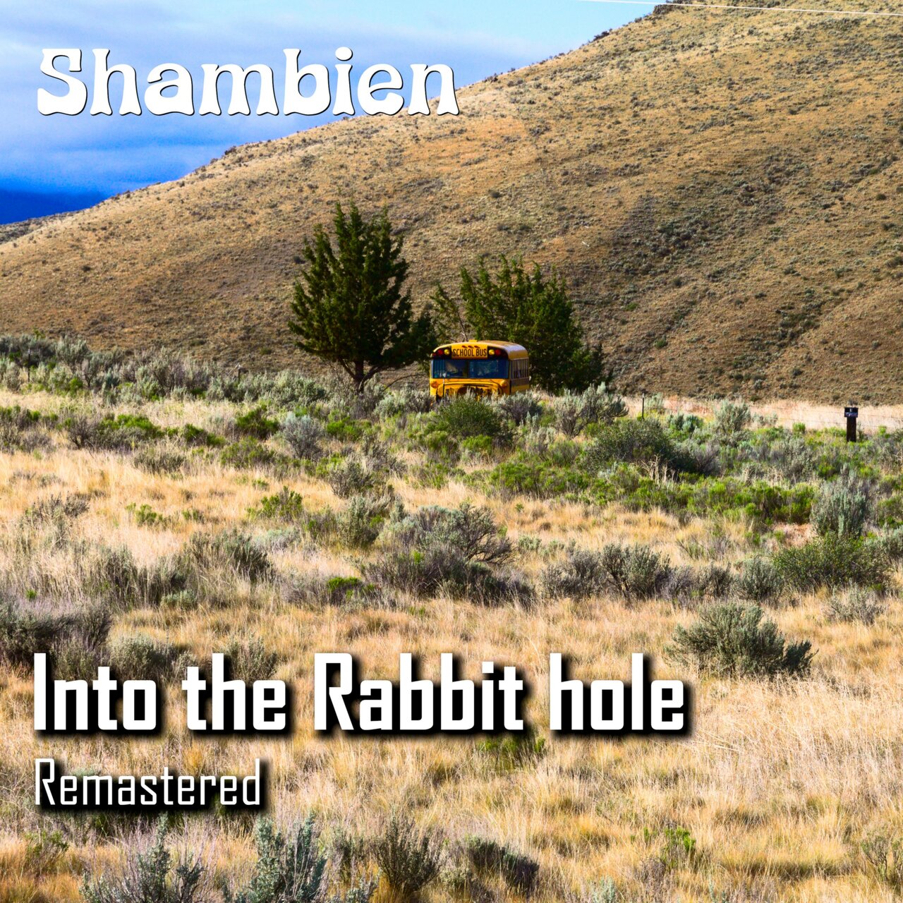 Into the rabbit hole