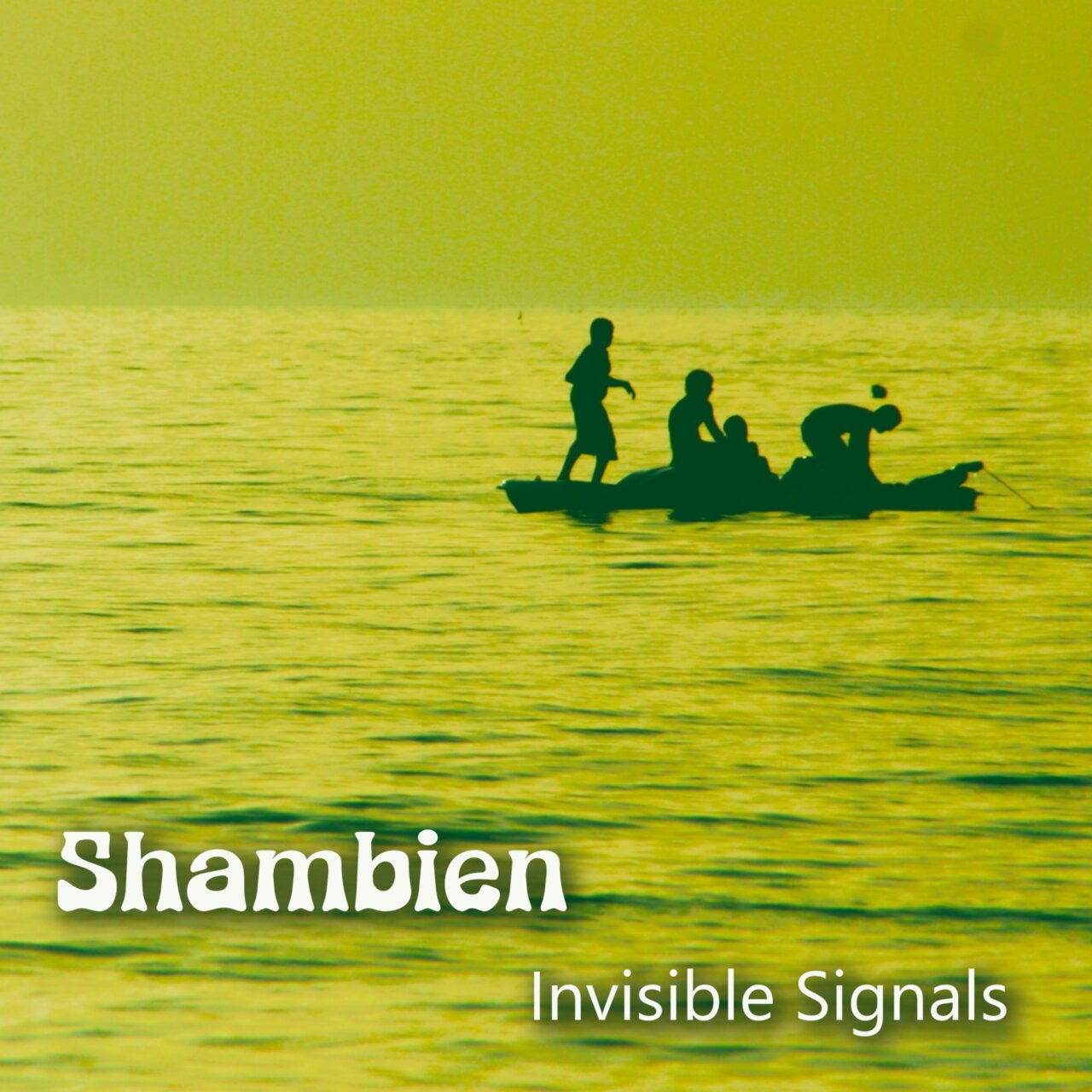 Invisible Signals